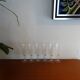 6 flutes champagne crystal cut art deco style