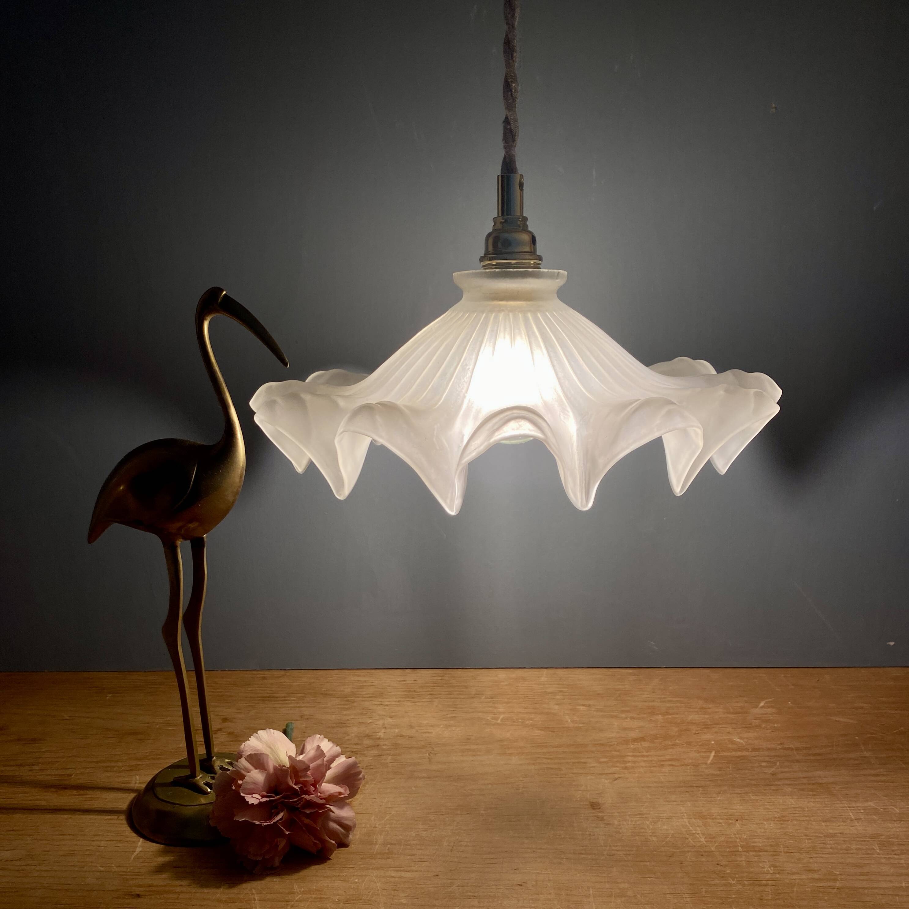 Vintage frosted glass lampshade pendant light