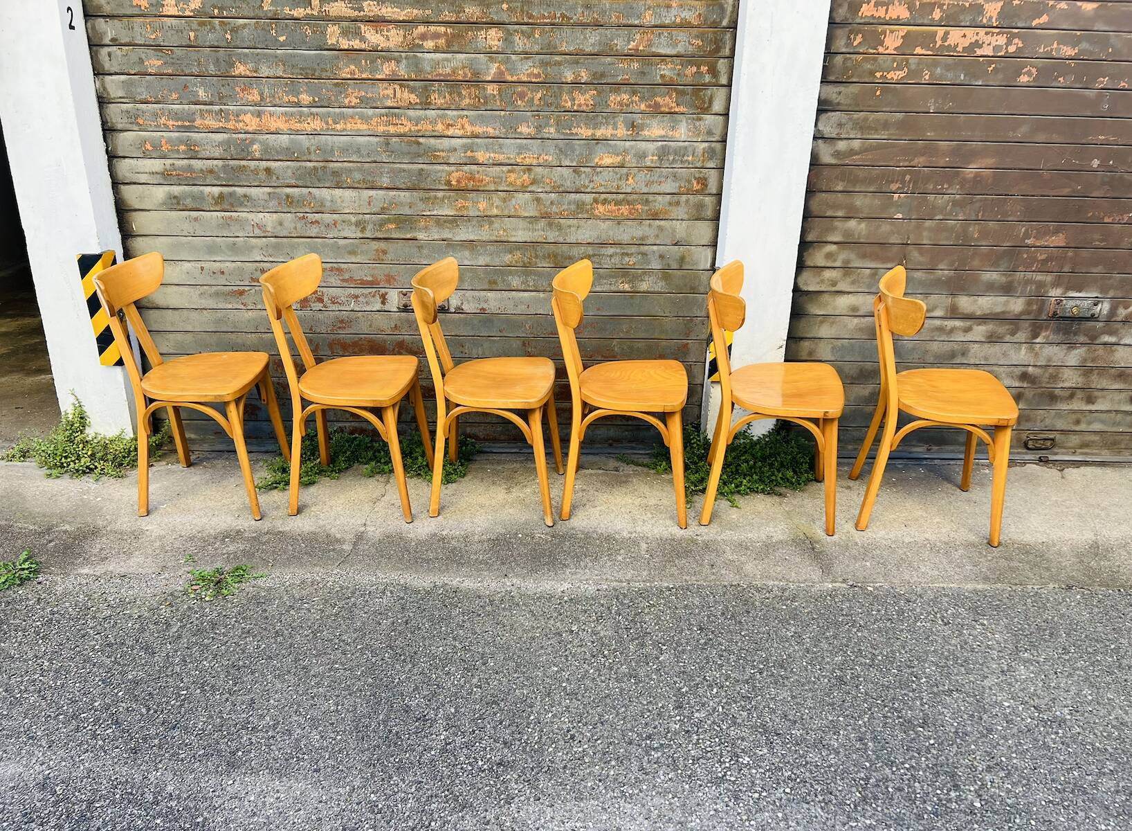 (Lot) 6 Bistro Chairs Lutherma Banana (Light Oak)
