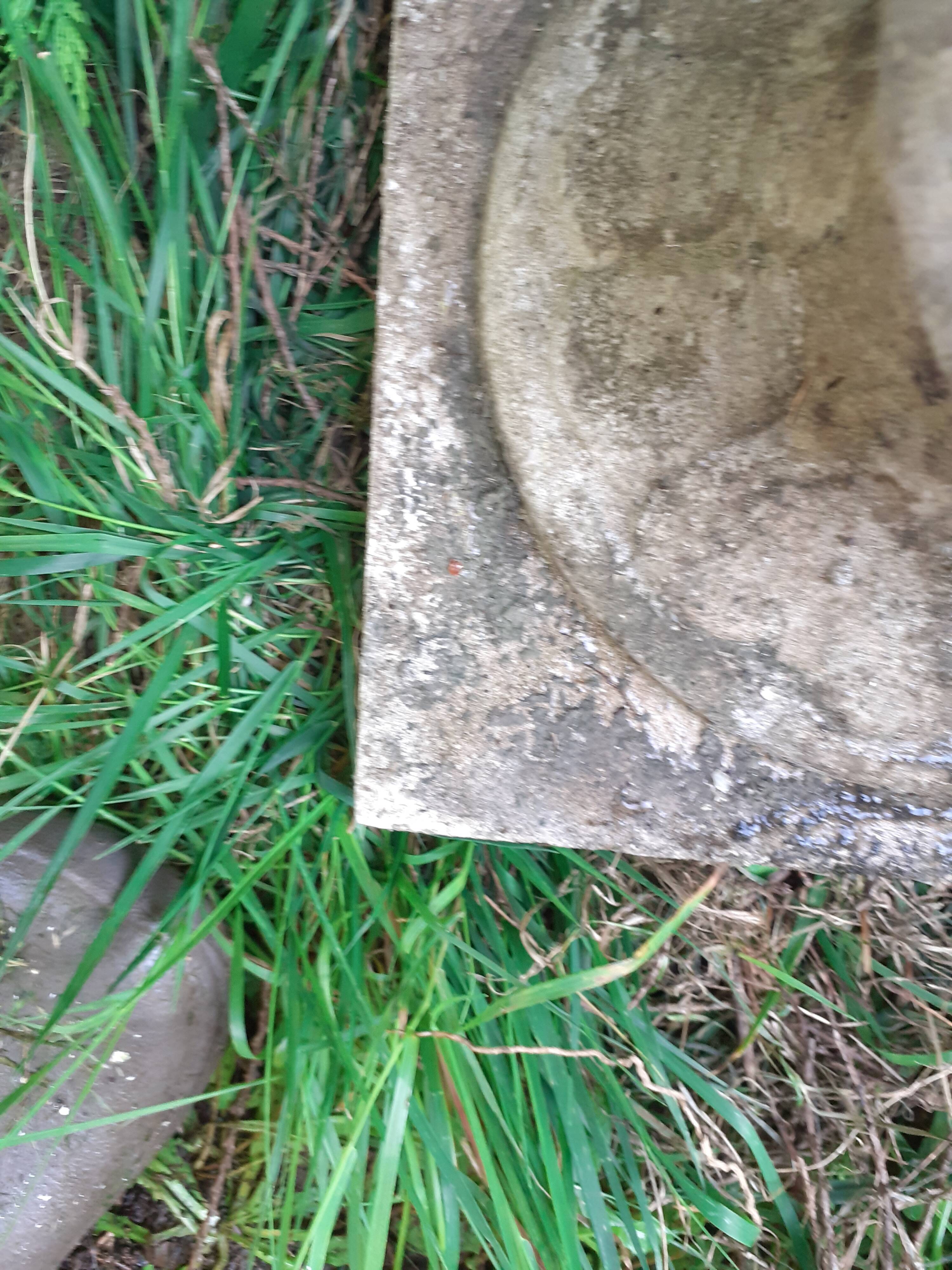 Pair of stone planter medicis