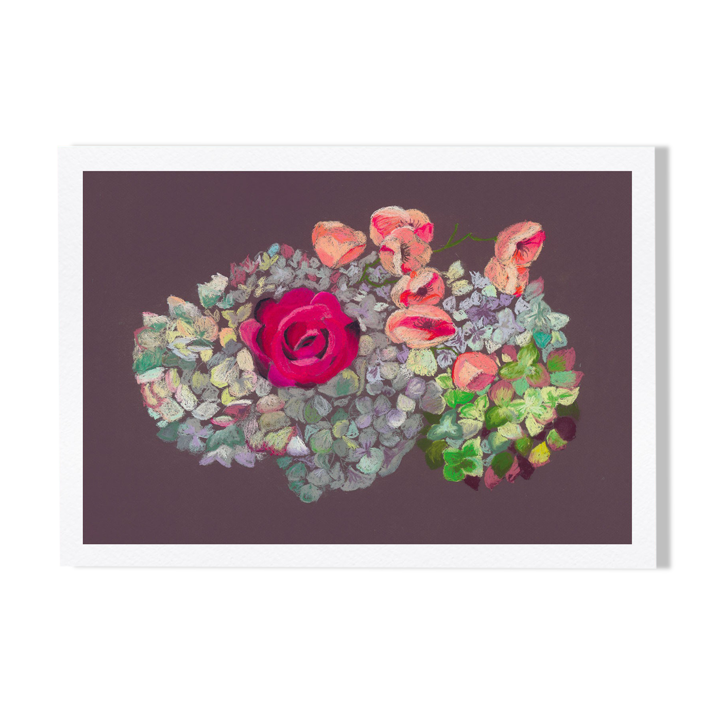 Pastel Hortensia and Rose - A4 - flower