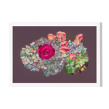 Pastel Hortensia and Rose - A4 - flower