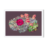 Pastel Hortensia and Rose - A4 - flower