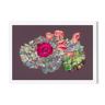 Pastel hortensia et rose a4 fleur