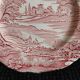 Decorative plate English style rose
