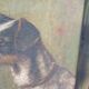 Ancient oil on canvas portrait of a Fox Terrier dog signed – Painting an