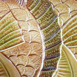 6 Sarreguemines barbotine ceramic fish plates, flat plates.