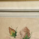 Botanical print, Rosa Damascena, by P-J Redouté