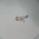 Gien — pivoine collection, hand-painted presentation plate