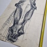 Preparatory study, charcoal sketch of a horse's head signed by Maurice de Bus, 38 x 60 cm