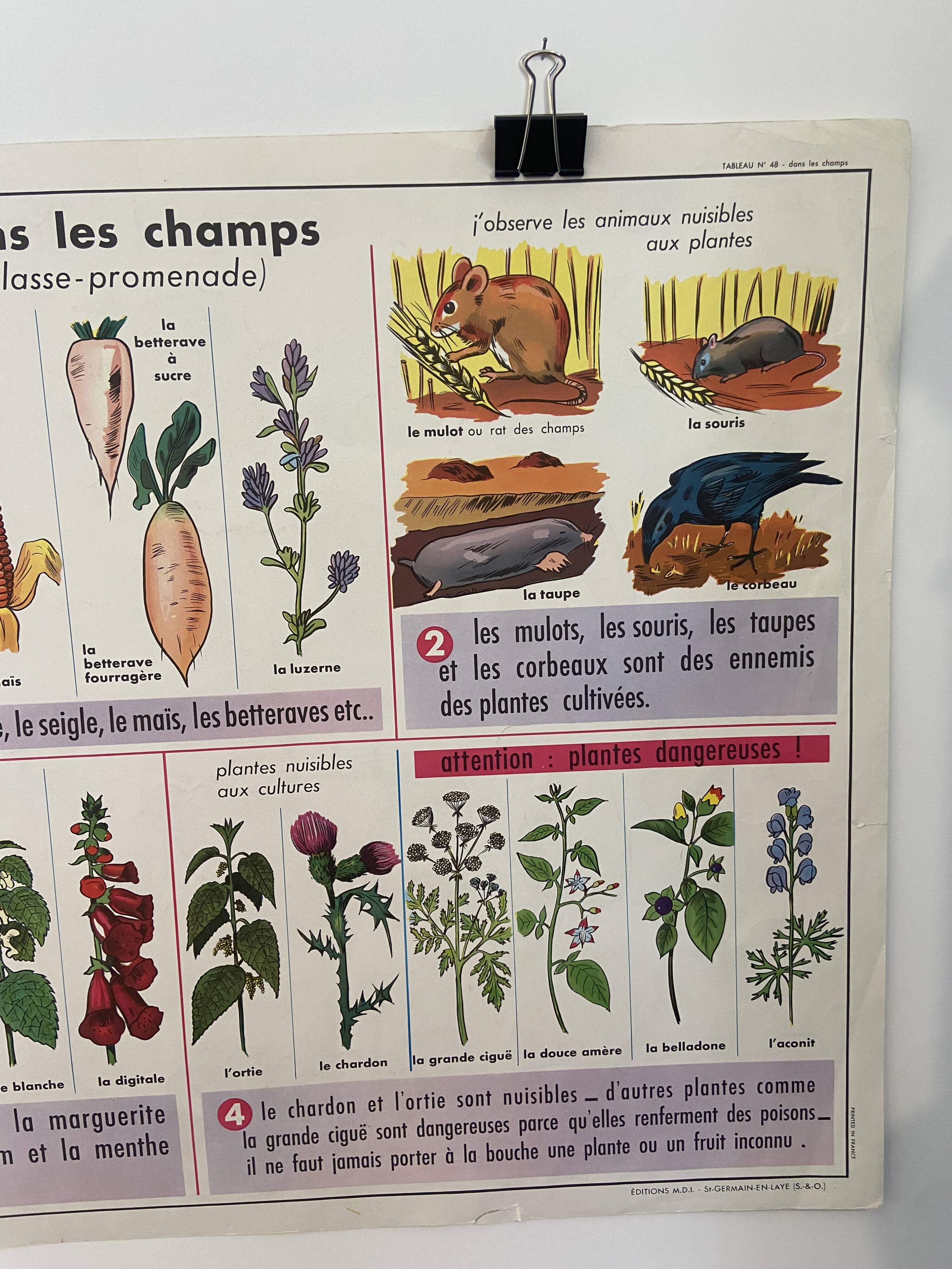 Vintage educational poster