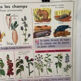 Vintage educational poster