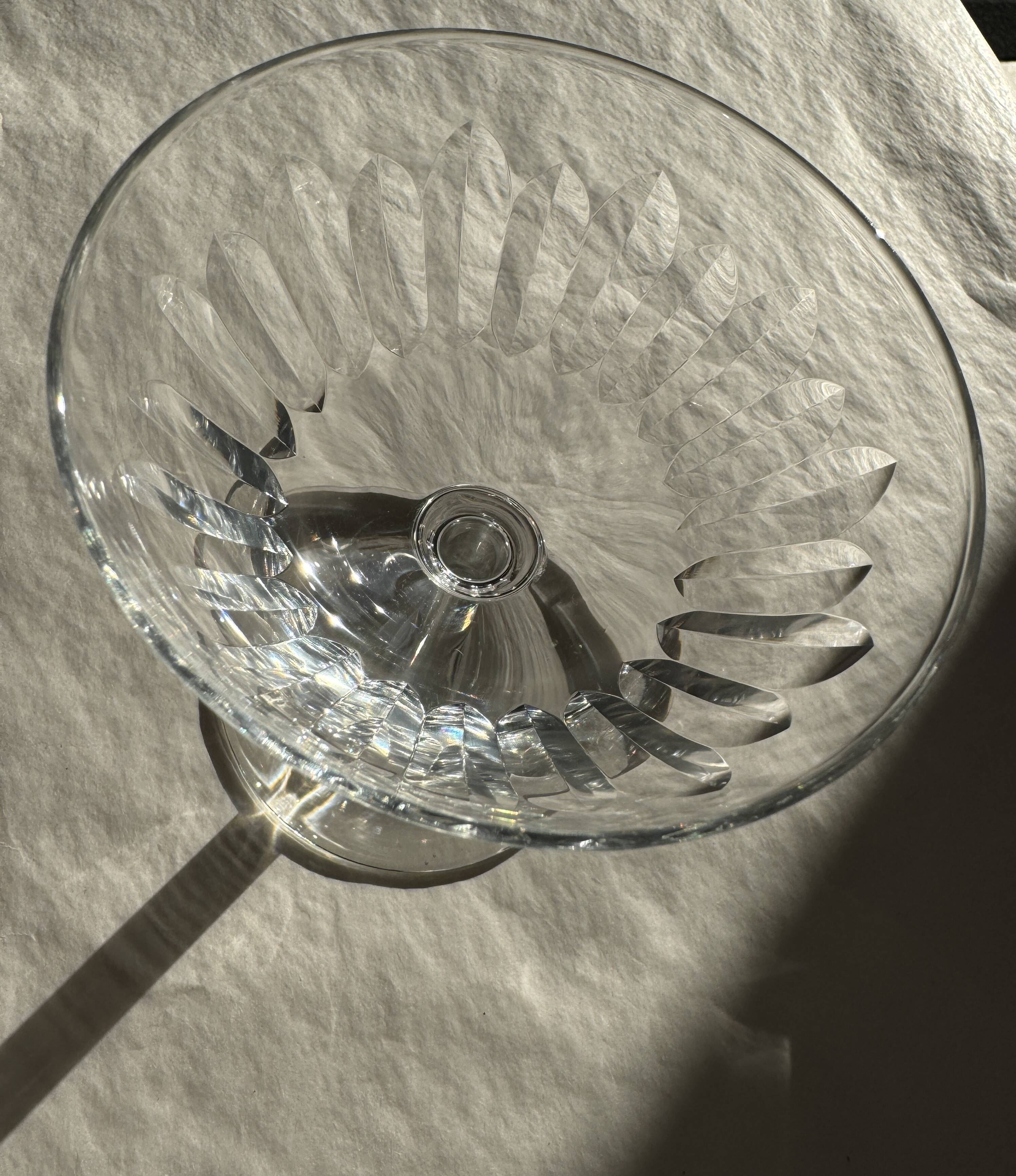 Baccarat Champagne Coupe Cassino Model several available