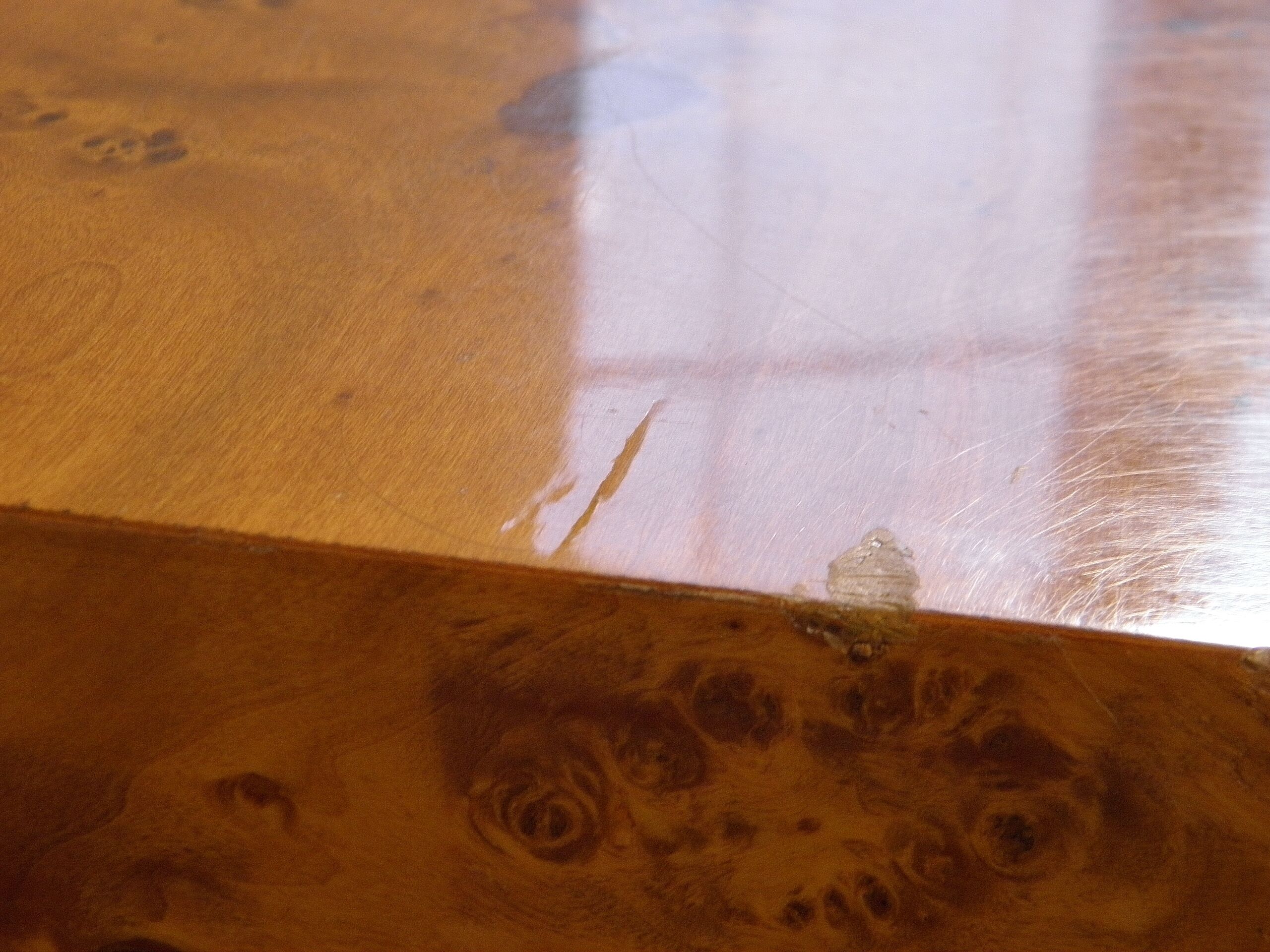 Elm magnifying glass coffee table