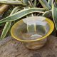 Glass cup blown Guillaume Domise Halle du Verre