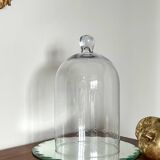 Antique cloche and its tray