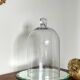 Antique cloche and its tray