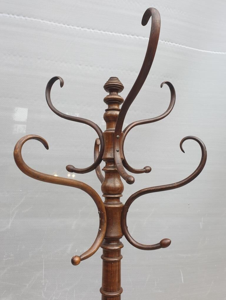 Fixed parrot rack bentwood Thonet 1900