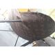 AA airborne Butterfly chair 50s