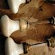Antique porcelain door handles