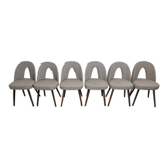 Chaises de salle à manger par Antonin Suman années 1960
