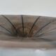 WMF Ikora sculptural Bauhaus bowl by Paul Haustein, 1920