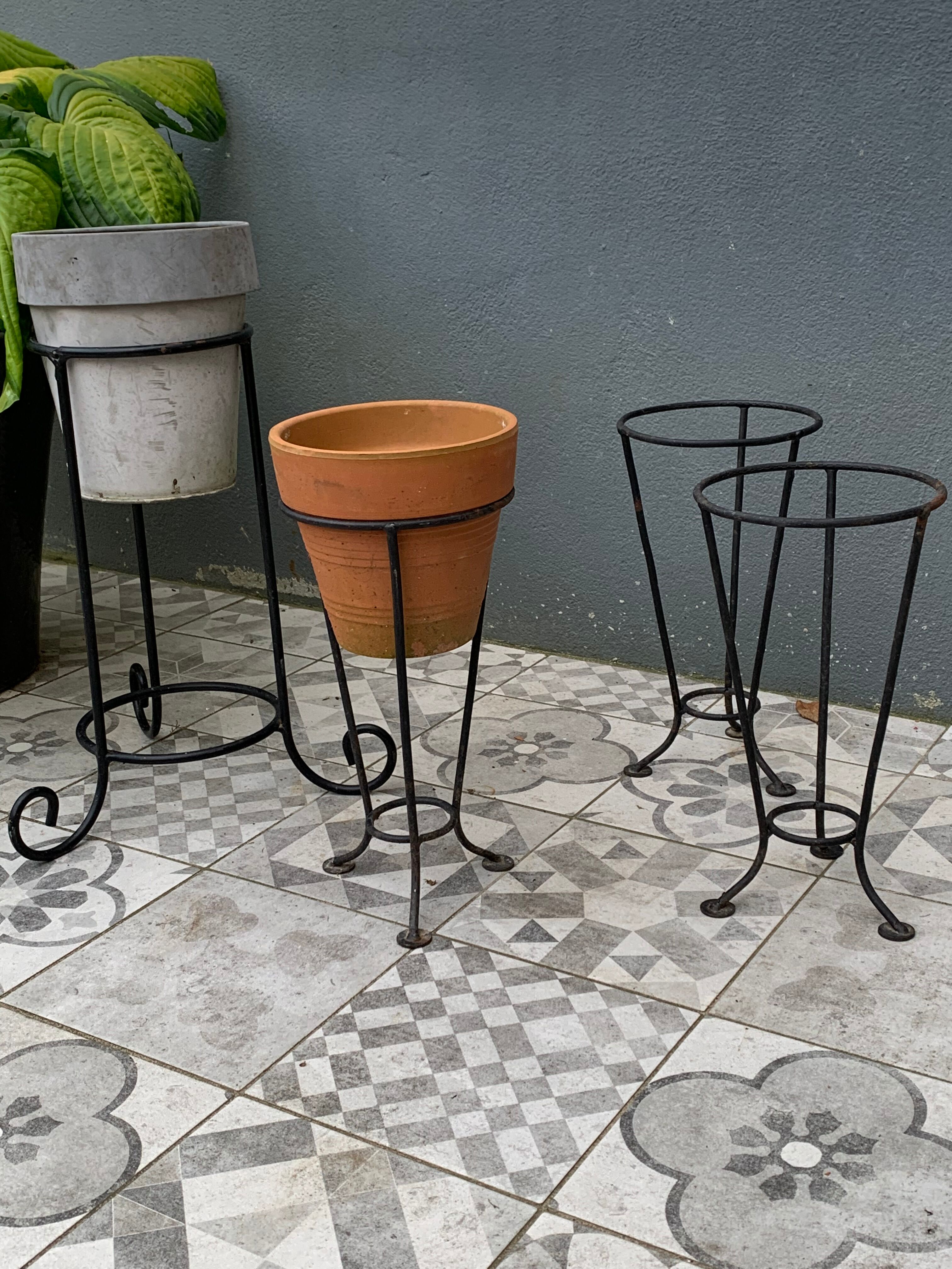 Wrought iron plant support/door