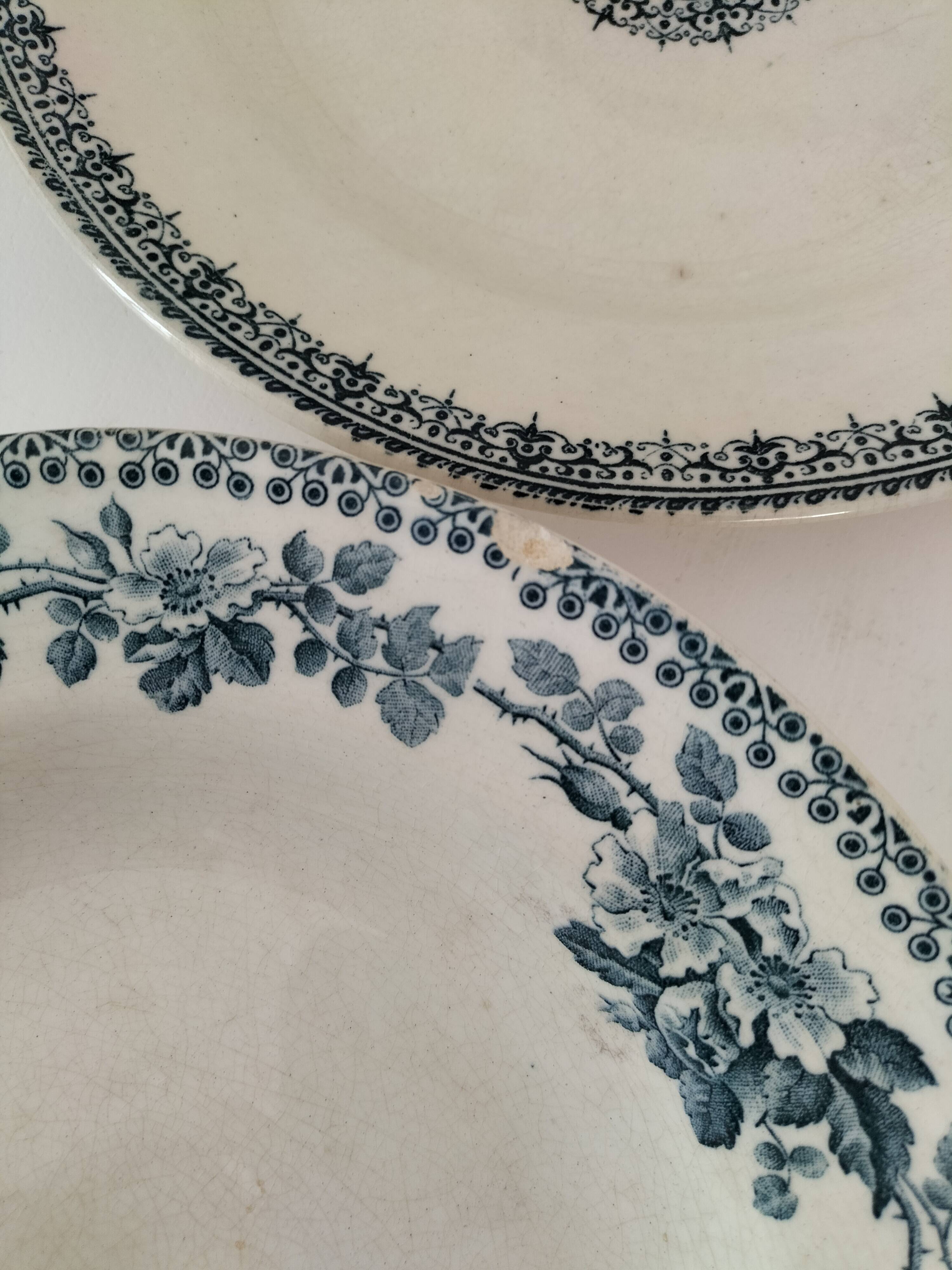 8 ironstone plates from the 19th century in blue camaïeu, mixed manufacturers.