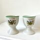 Pair of flowering flirts vintage herbarium