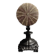 Cabinet of Curiosities sea urchin toxopneustes pileolus on base