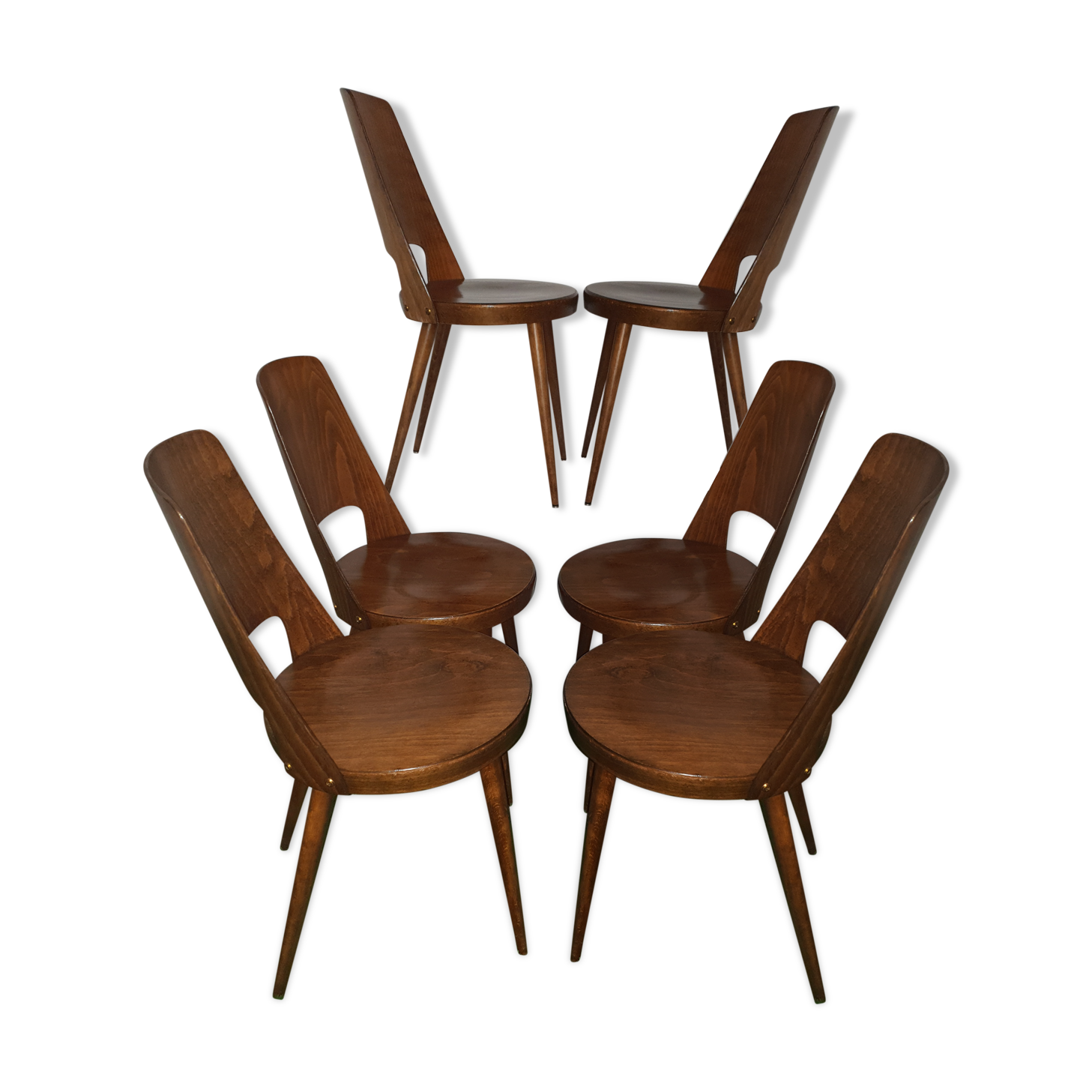 6 chairs Baumann model Mondor