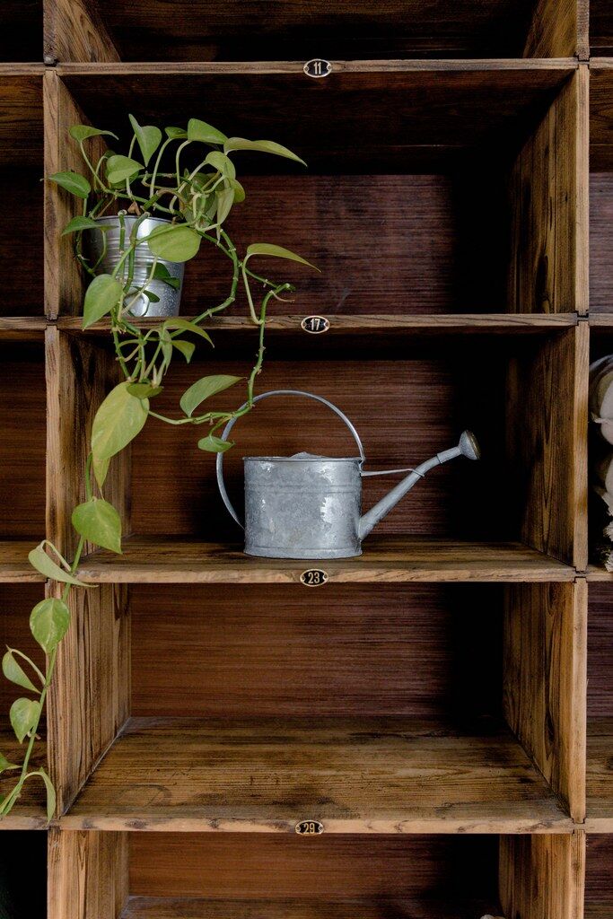 Factory locker cabinet, wood and green