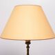 Gilded Bronze table lamps with shades France 1880s