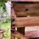 Stepladder - Painter's ladder - Folding