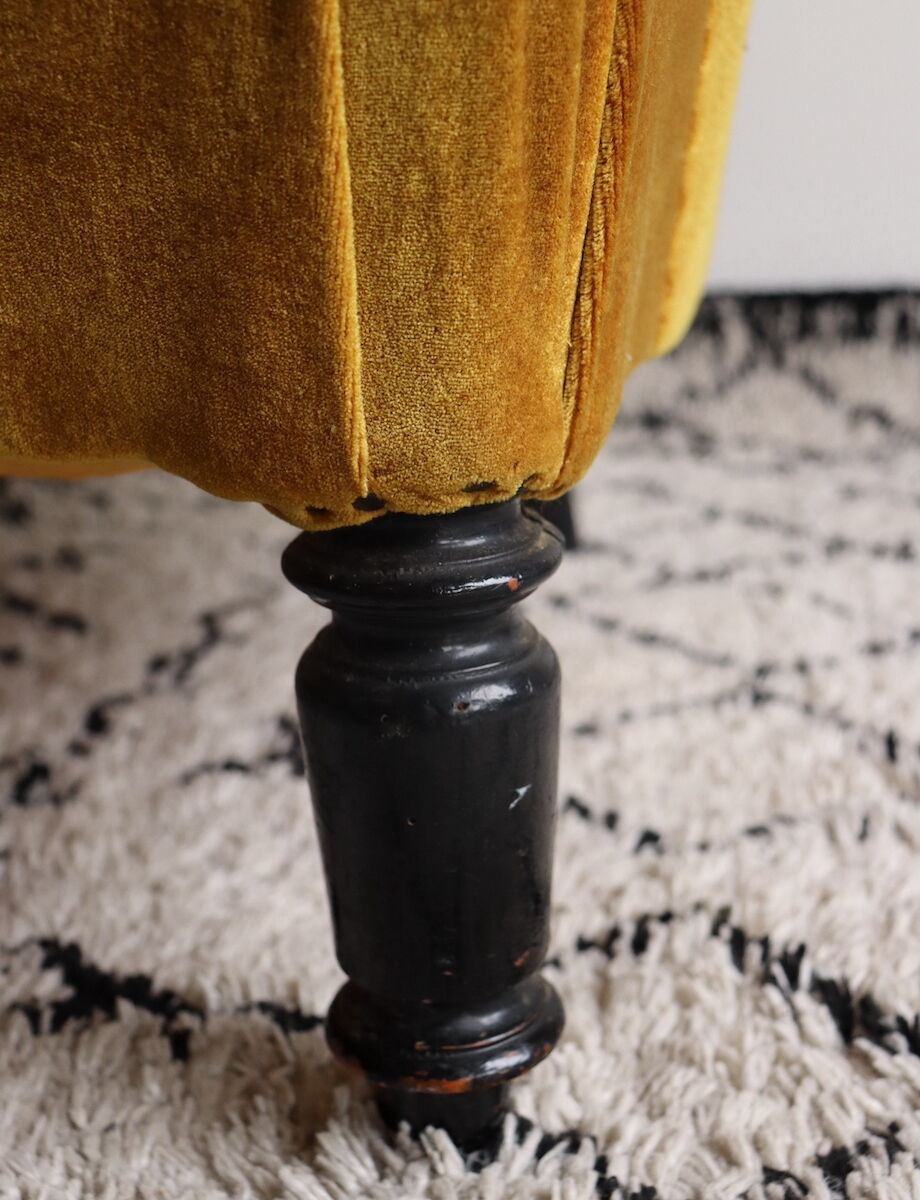 Ochre toad Napoleon III