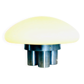 Magnolia Lamp By Sergio Mazza & Giuliana Gramigna For Quattrifolio, Italy 1970S