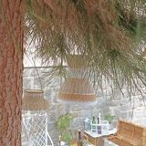 Duo of rattan hanging lamps