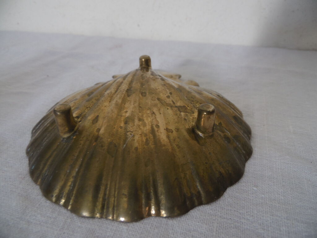 Empty pocket st Jacques shell