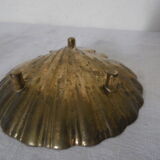 Empty pocket st Jacques shell