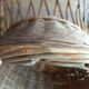 Child's rattan armchair