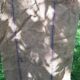 Burlap sack flour mill Thomas Brittany