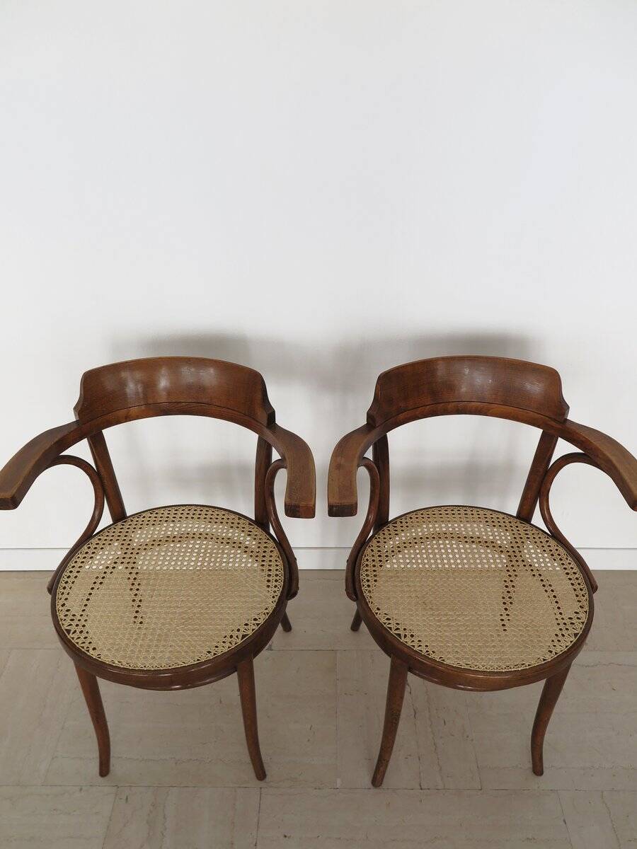 Vintage Chairs by Michael Thonet for Thonet, 1930s, Set of 6