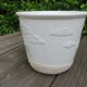 Flower pot "palm" ceramic Bassano Italy 60 70 years