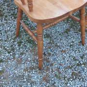 Set of 4 chairs and 1 armchair in mountain style made of oak.