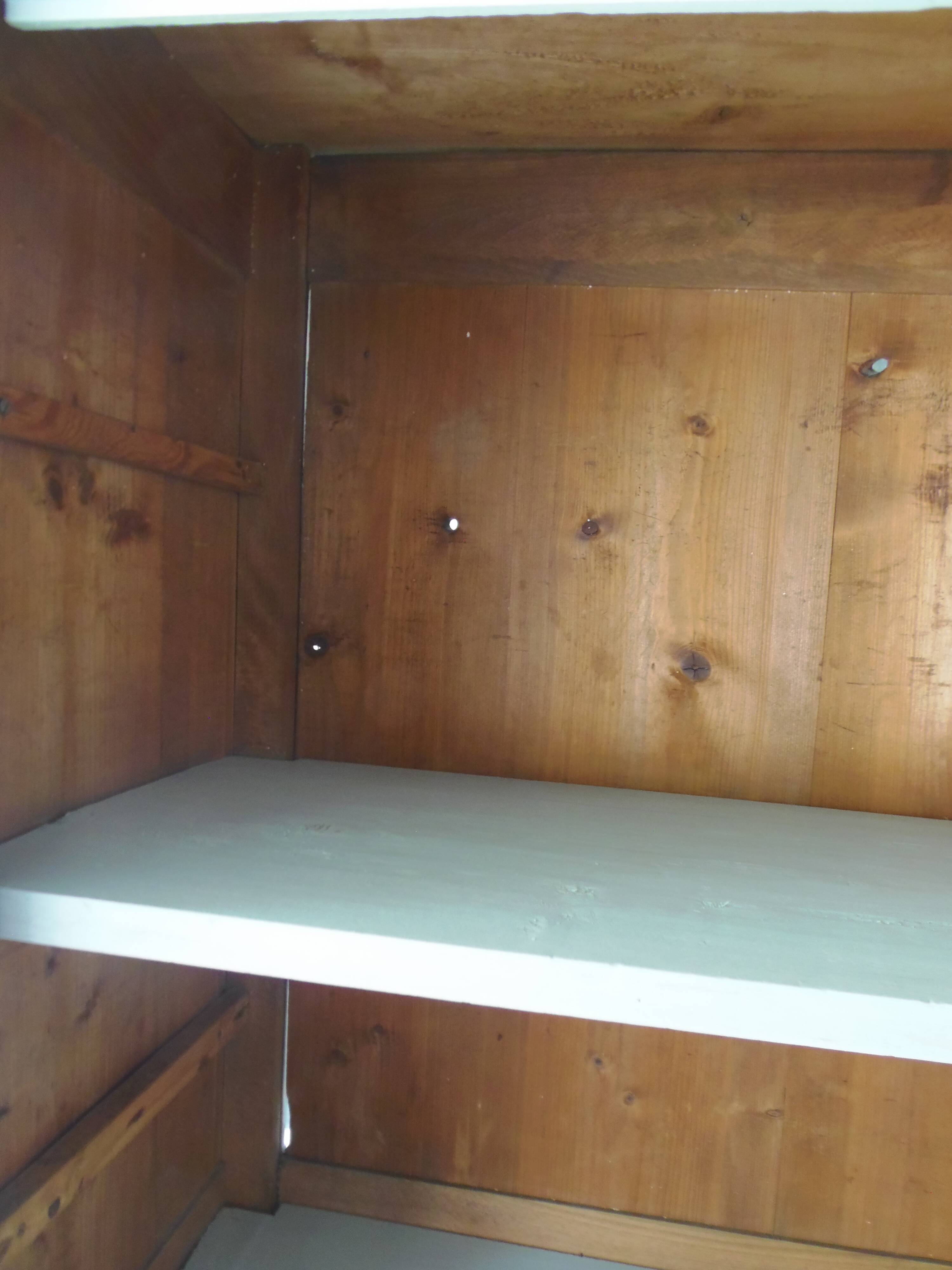 Vintage Parisian wardrobe with 1 vintage door re-enchanted in verdigris