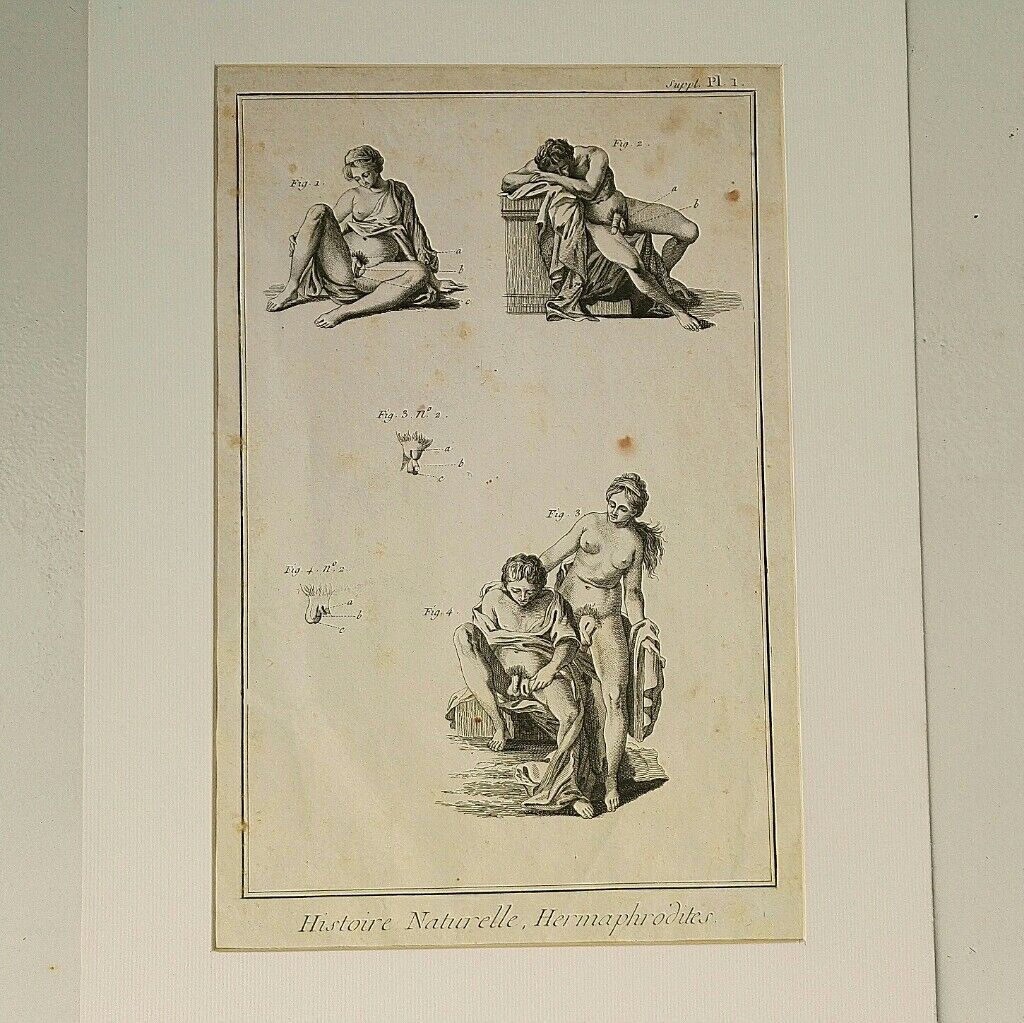 Engravings EIGHTEENth hermaphrodites Diderot cabinet curiosity