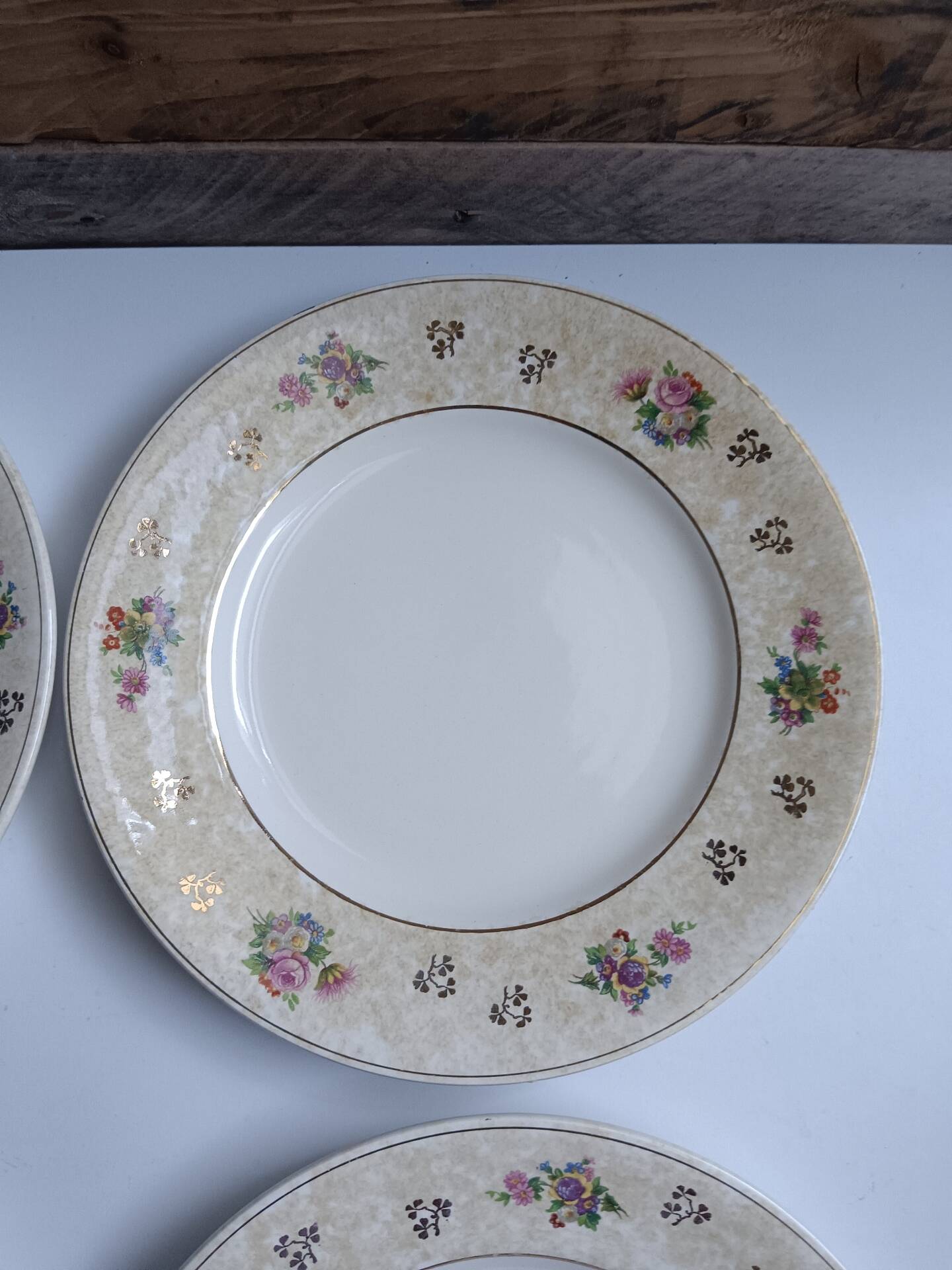 Set of 6 flat plates Salins model Simone beige with flowers.