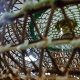 Fishing net lamp