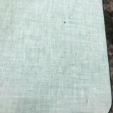 Table and chairs in water green formica