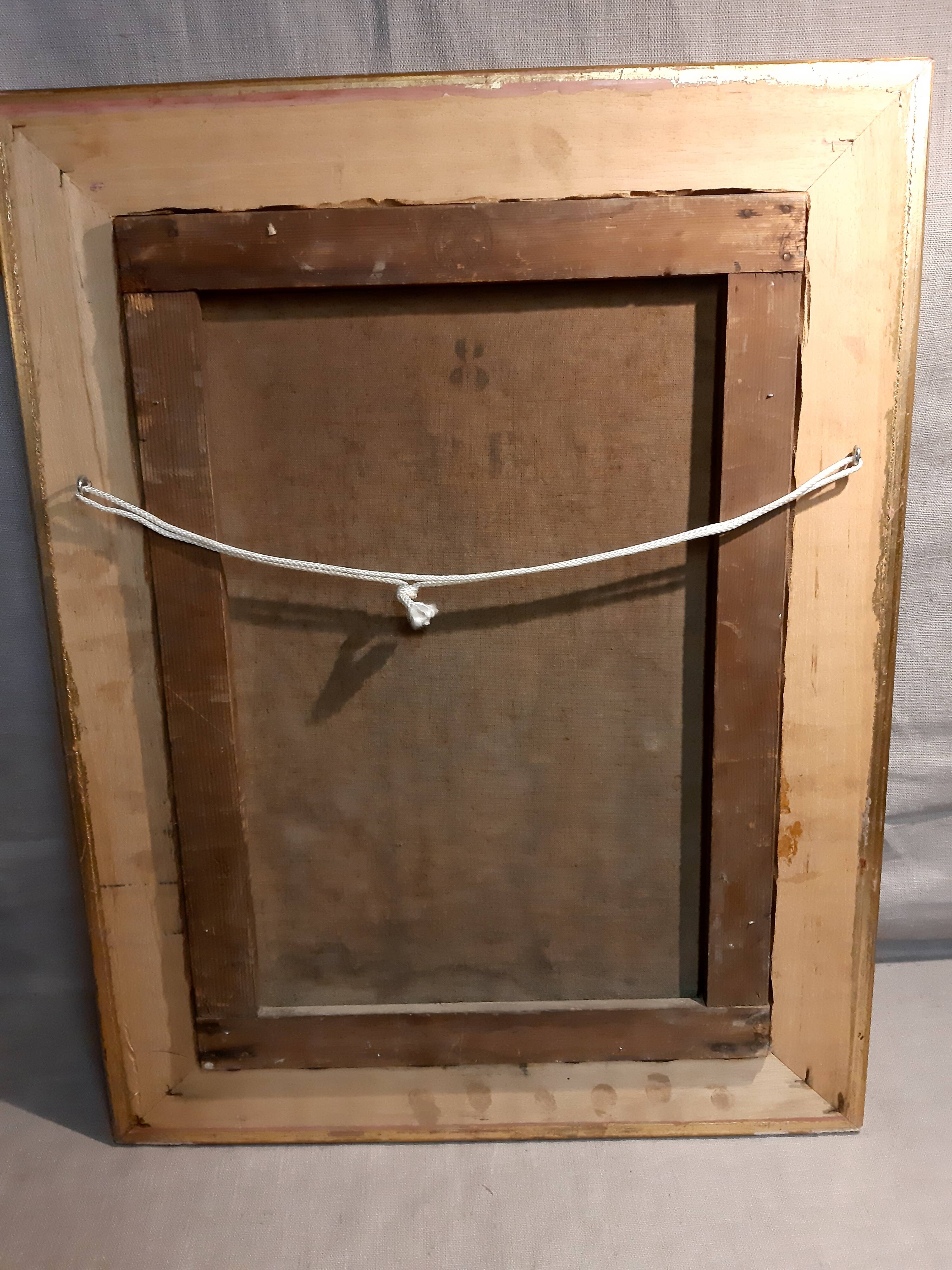 Table mountain landscape